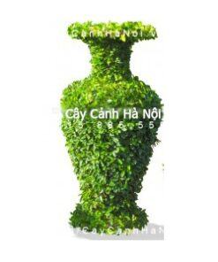 Cây gừa nghệ thuật hình bình hoa