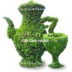 Cây gừa nghệ thuật hình bình trà, ly