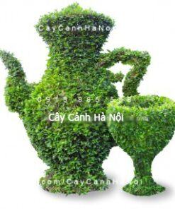 Cây gừa nghệ thuật hình bình trà, ly