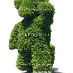 Cây gừa nghệ thuật hình chú gấu Teddy