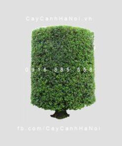 Cây gừa nghệ thuật hình khối trụ tròn