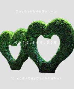 Cây gừa nghệ thuật hình trái tim