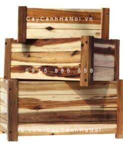 Chậu gỗ trồng cây chữ nhật lớn | DCDSP413L