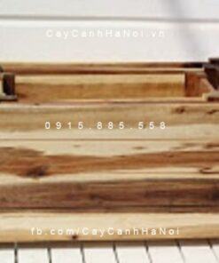 Chậu gỗ trồng cây chữ nhật nhỏ | DCDSP413N