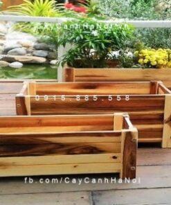 Chậu gỗ trồng cây chữ nhật trung | DCDSP413T