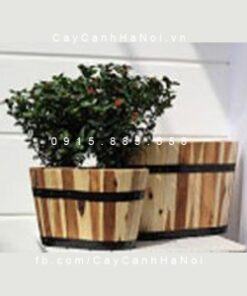 Chậu gỗ trồng cây oval lớn | DCDSP301L