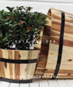 Chậu gỗ trồng cây oval nhỏ | DCDSP301N