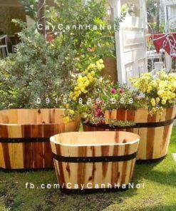 Chậu gỗ trồng cây oval trung | DCDSP301T
