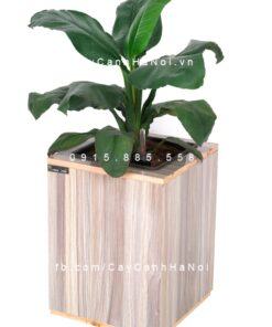 Chậu gỗ THÔNG MINH tự tưới hình vuông trung | GWL - 111B