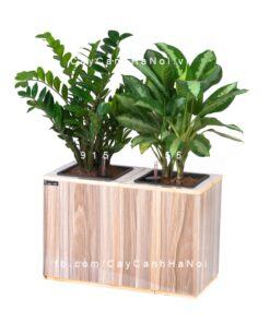 Chậu gỗ THÔNG MINH tự tưới 2 khoang thẳng | GWL - 211B