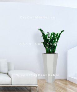 Chậu gỗ THÔNG MINH tự tưới bát giác vát đáy lớn | GWL - 423C