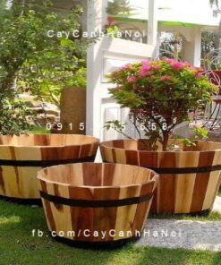 Chậu gỗ cao cấp trồng cây tròn mini | DCDSP002BM