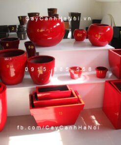 Chậu composite trồng cây cao cấp 1| 1101