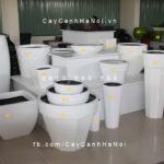 Chậu composite trồng cây cao cấp 3| 1103