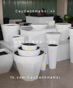 Chậu composite trồng cây cao cấp 3| 1103
