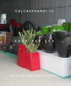 Chậu composite trồng cây cao cấp 8| 1108