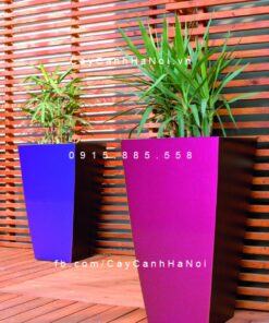 Chậu composite trồng cây cao cấp C1