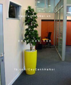 Chậu composite trồng cây cao cấp C4