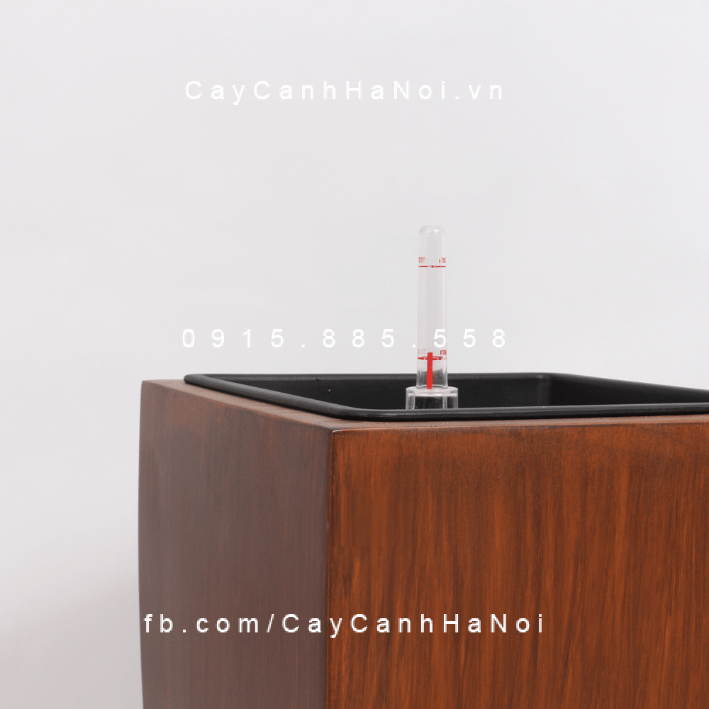 chau_composite_trong_cay_thong_minh_cao_cap_1021s_van_go3