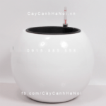 Chậu composite trồng cây cao cấp thông minh | 1091S (Trắng bóng)