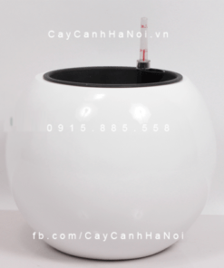 Chậu composite trồng cây cao cấp thông minh | 1091S (Trắng bóng)