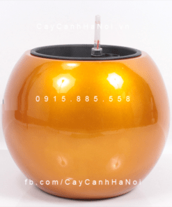 Chậu composite trồng cây cao cấp thông minh | 1091S (Vàng gold)