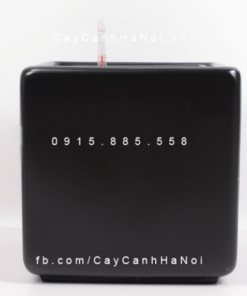 Chậu composite trồng cây cao cấp tự tưới | 1476(Đen mờ)