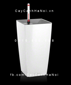 Chậu Composite Trồng Cây Cao Cấp Thông Minh | N1