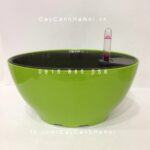 Chậu Composite trồng cây cao cấp thông minh | N10
