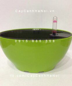 Chậu Composite trồng cây cao cấp thông minh | N10