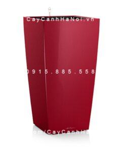 Chậu composite tự tưới