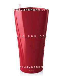Chậu Composite trồng cây cao cấp thông minh | N8