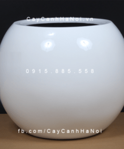Chậu Composite Anber trồng cây cao cấp | 1091 (Trắng bóng)