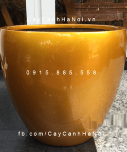 Chậu Composite Anber trồng cây cao cấp | 1151 (Vàng gold)