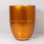 Chậu Composite Anber trồng cây cao cấp | 1229 (Vàng gold)