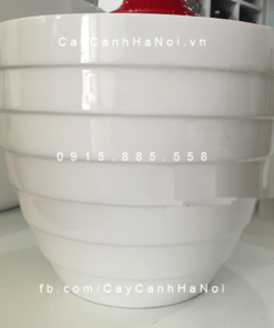 Chậu Composite Anber viền xoắn trồng cây cao cấp | 1294