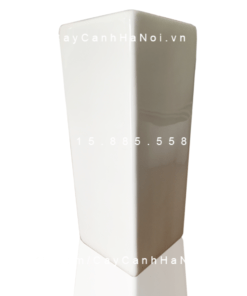 Chậu Composite Anber trồng cây cao cấp | 1303 (Trắng bóng)