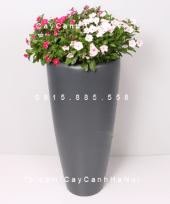 Chậu Composite Anber trồng cây cao cấp xám mờ | 1649 (Xám mờ)