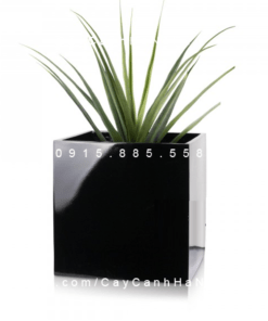 Chậu Composite Anber trồng cây cao cấp | 1055 (Đen bóng)