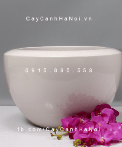 Chậu Composite Anber trồng cây cao cấp trắng bóng | 1126