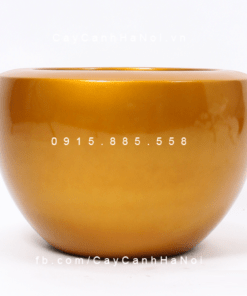 Chậu Composite Anber trồng cây cao cấp vàng gold | 1126