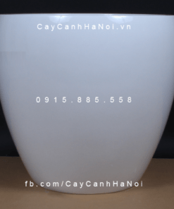 Chậu Composite Anber trồng cây cao cấp | 1151 (Trắng bóng)