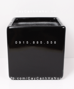 Chậu Composite Anber vuông trồng cây cao cấp |1476 (Đen bóng)