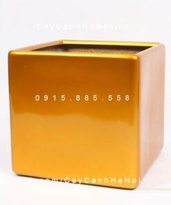 Chậu Composite Anber vuông trồng cây cao cấp | 1476 (Vàng gold)