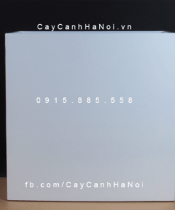 Chậu Composite Anber chữ nhật lớn trồng cây cao cấp | 1772 (Trắng bóng)