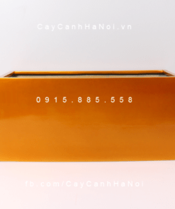 Chậu Composite Anber chữ nhật trồng cây cao cấp | 5001 (Vàng gold)