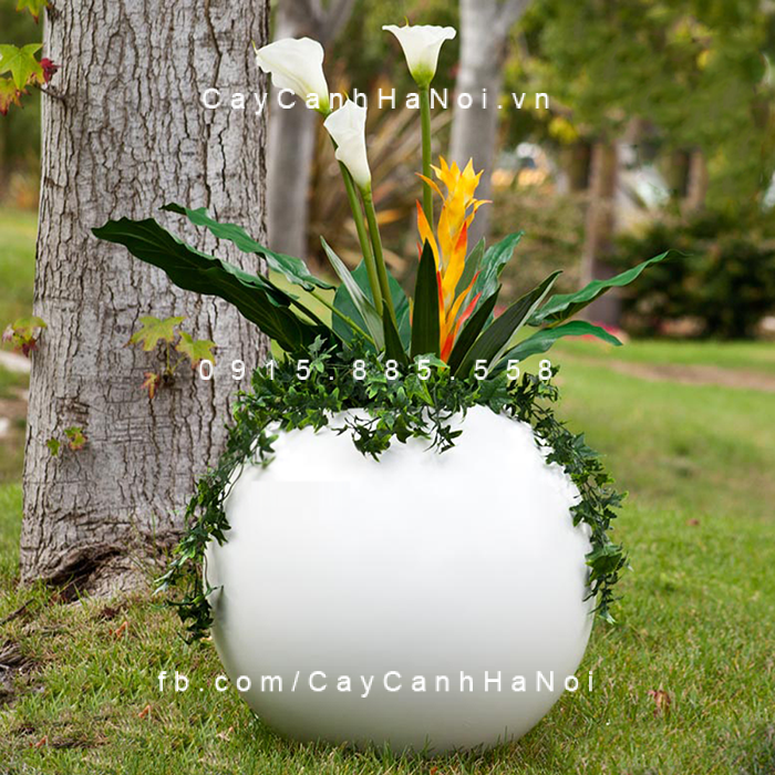 chau_composite_trong_cay_cao_cap_anber_se8889_trang_mo_1