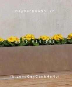 Chậu nhựa trồng cây composite iPot chữ nhật| IP-00082