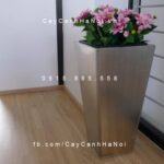 Chậu nhựa trồng cây composite iPot vát đáy | IP-00075