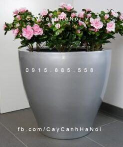Chậu trồng cây composite iPot tròn| IP-00050